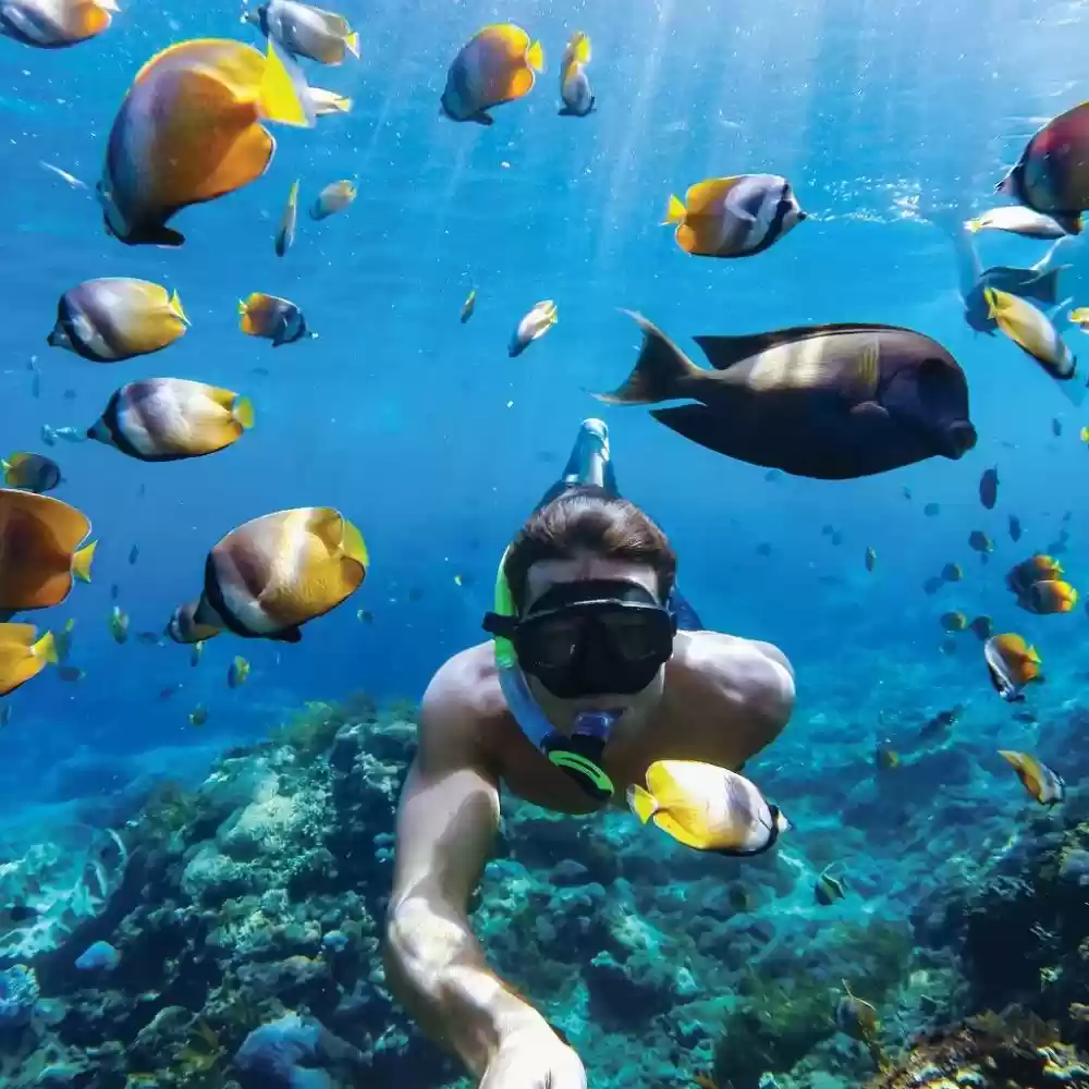 احدى صور الاعلان