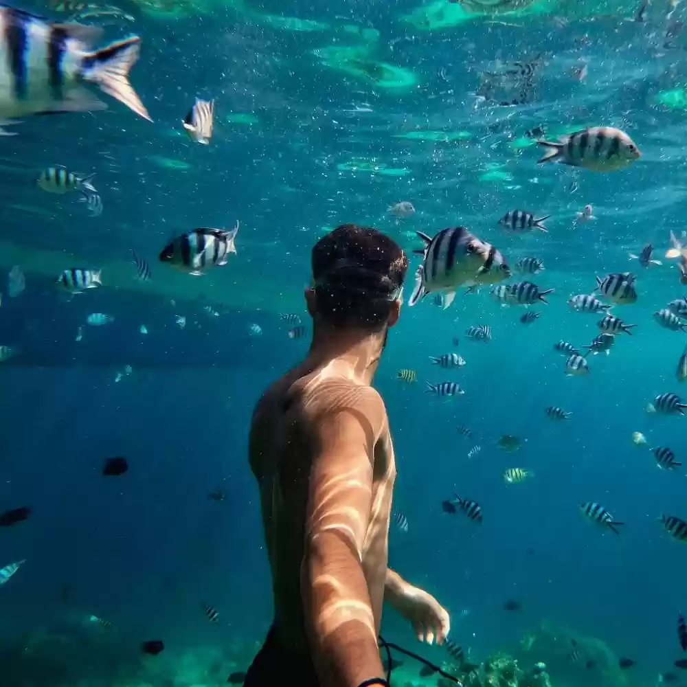 احدى صور الاعلان