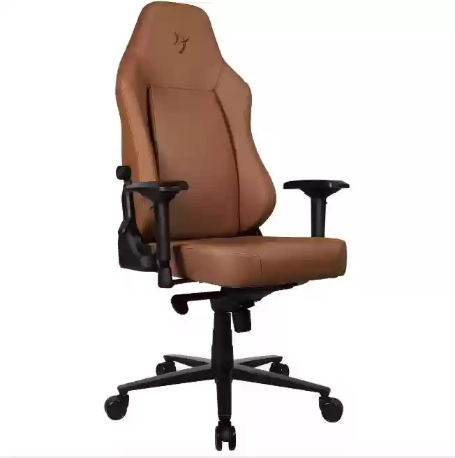 احدى صور الاعلان